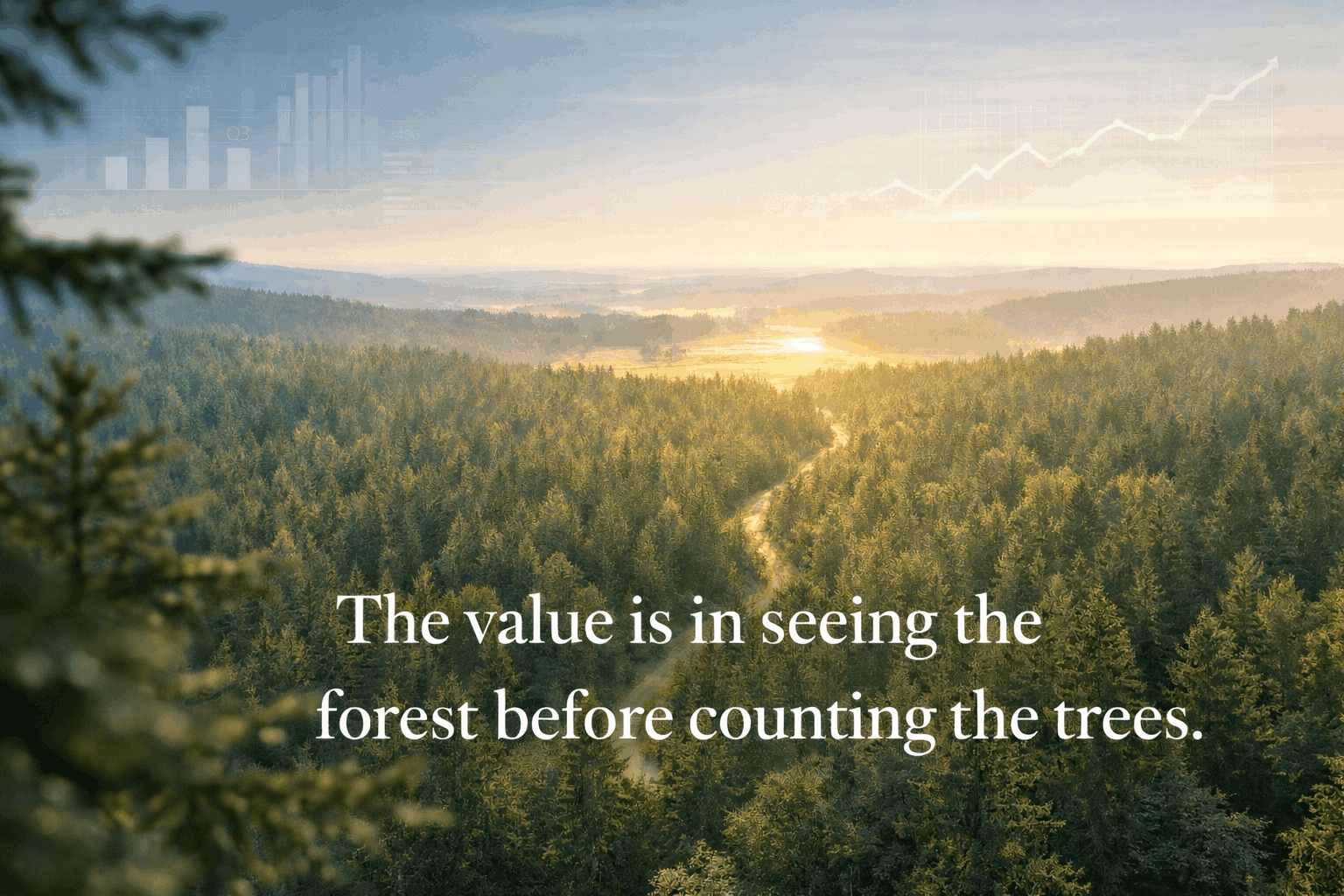 forecasting value is in seeing the forest before counting the trees